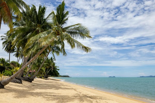 Gagner De L Argent Du Casino