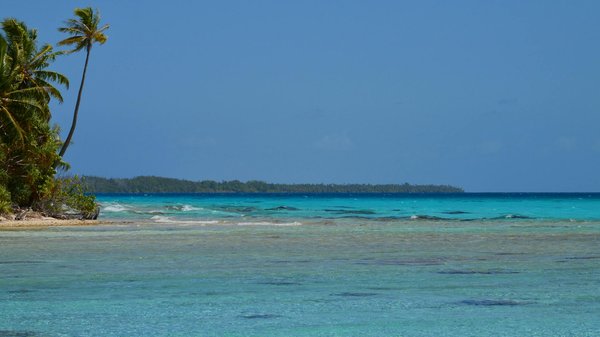 Jeux De Bonus De Machine à Sous Gratuits