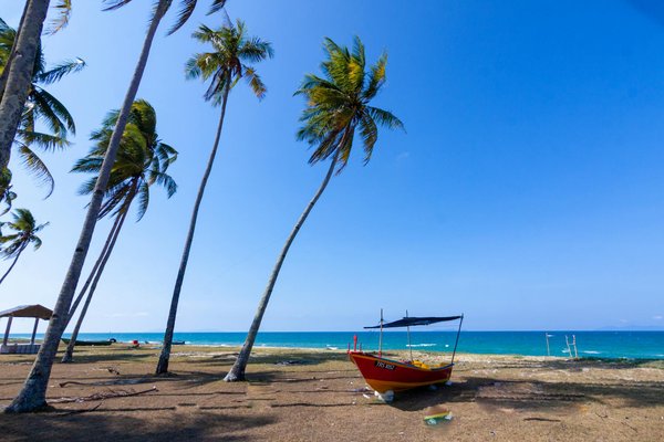 Slots à Jouer Pour Le Plaisir