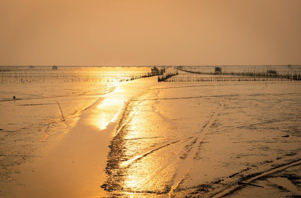 Meilleure Stratégie De Roulette Dans Le Monde