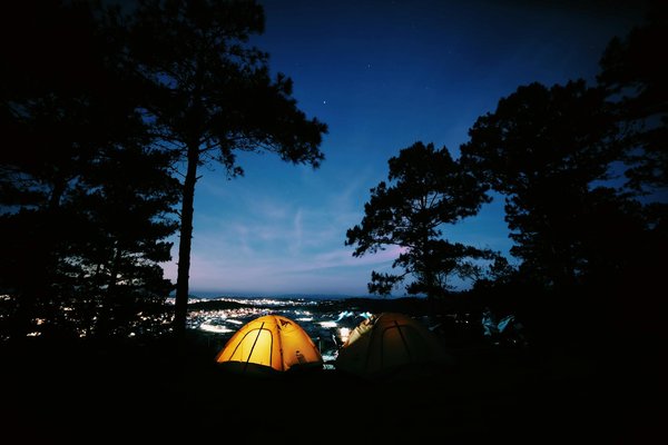 Quel Casino En Ligne Paie Effectivement