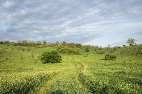 Méthode De Roulette Qui Fonctionne