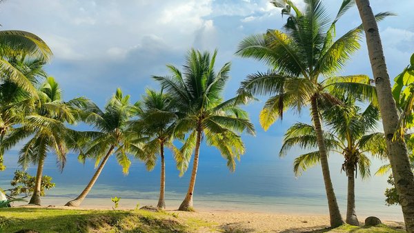 Règles De La Roulette Européenne