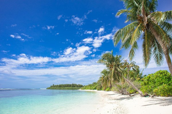 Nouveaux Tours Gratuits Bitcoin Casino