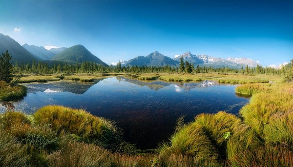 Nouvelles Réglementations Sur Les Machines à Sous