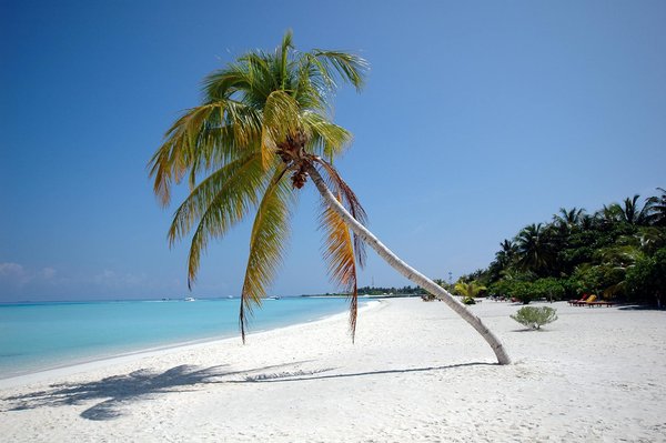 Meilleure Machine à Sous Genting