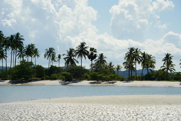 Meilleures Chances Pour Les Machines à Sous Gagnantes