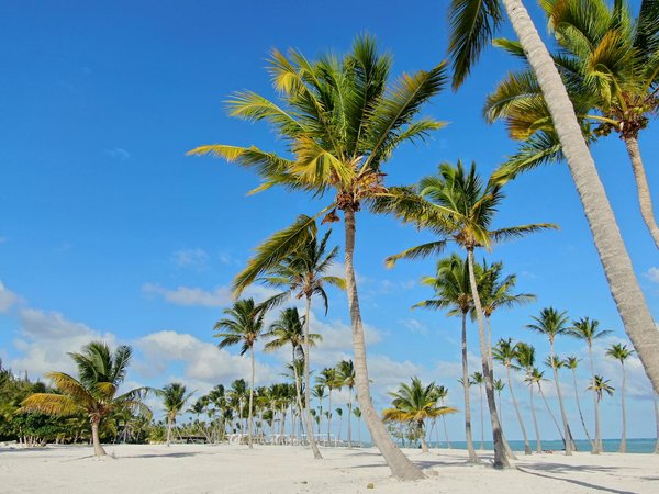 Résultat Keno Gagnant à Vie