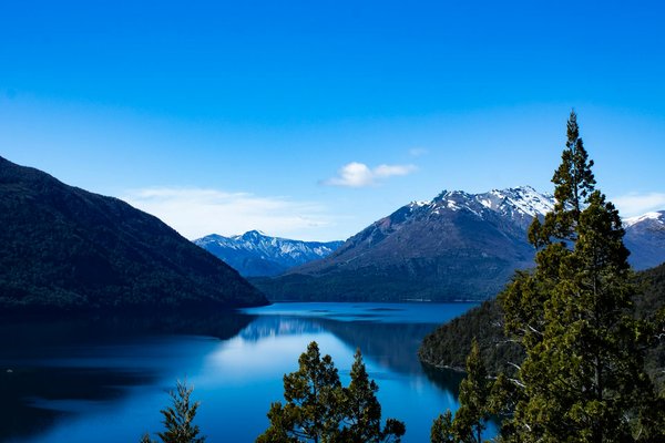 Playamo Casino No Deposit Bonus