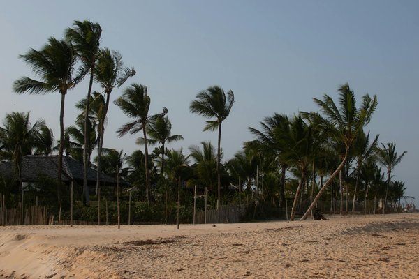 Meilleur Moyen De Parier Du Bonus De Casino