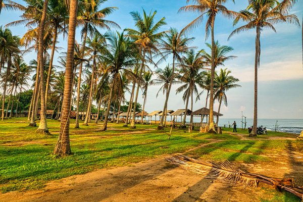 Roulette Pas De Stratégie De Perte