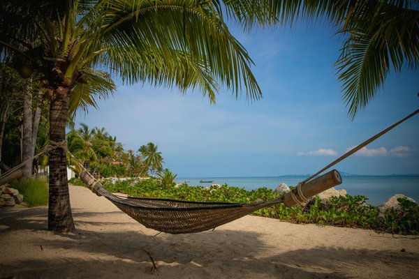 Quelles Sont Les Meilleures Chances Dans Un Casino