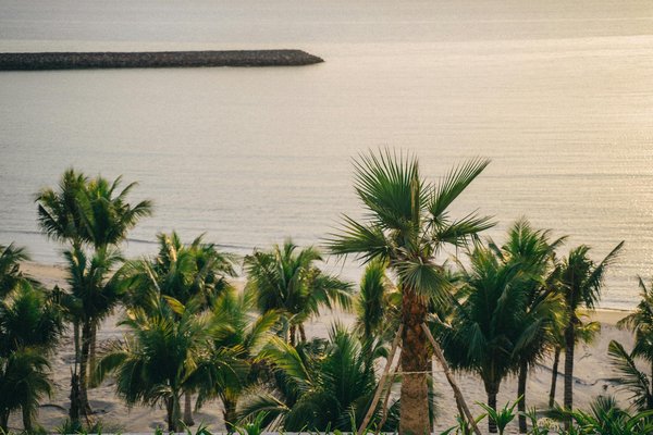 Slots De Bonus Vidéo