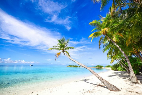 Meilleur Modèle De Paris De Roulette