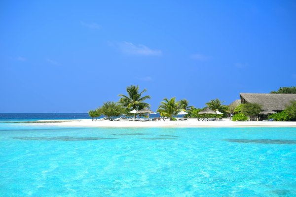 Meilleur Moyen De Gagner De L Argent Sur Les Machines à Sous Penny