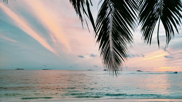 Meilleure Machine à Sous De Chances De Gagner